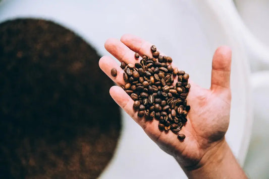 How to Understand The Label on Your Bag of Roasted Coffee