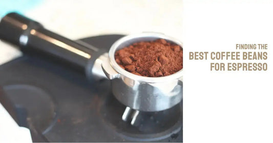 Freshly ground coffee beans ready to be used in an espresso machine.