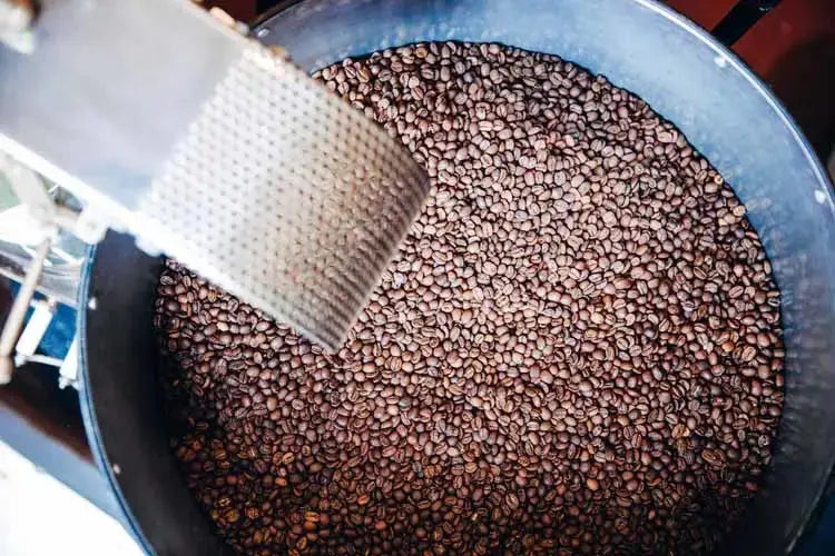 Perfectly roasted coffee beans, a crucial element of specialty coffee culture, emit steam as they await brewing. This inviting image captures the essence of the roasting process and the warm atmosphere of coffee culture's rich history